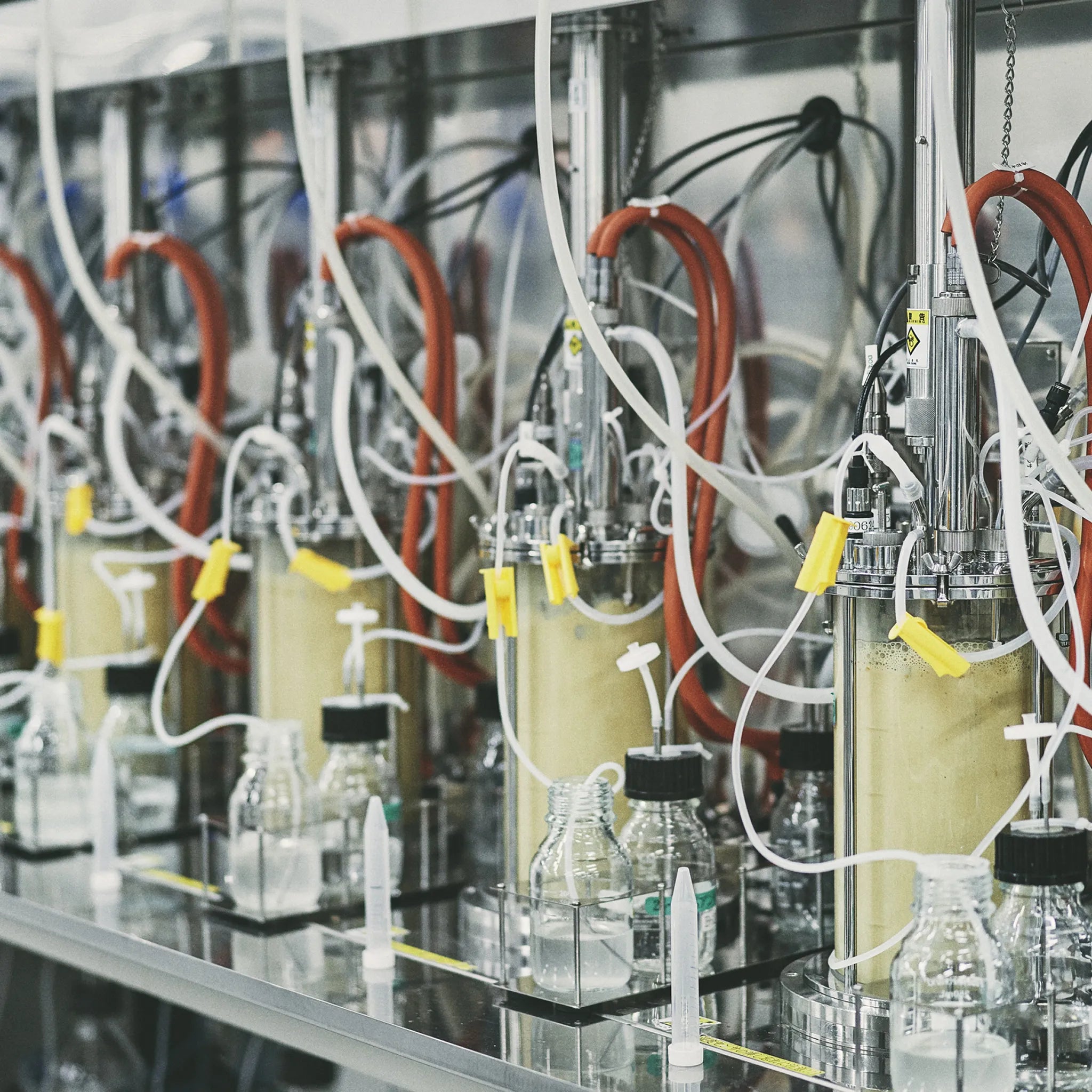 Lab-Grown Sweater. Dark Brown edition