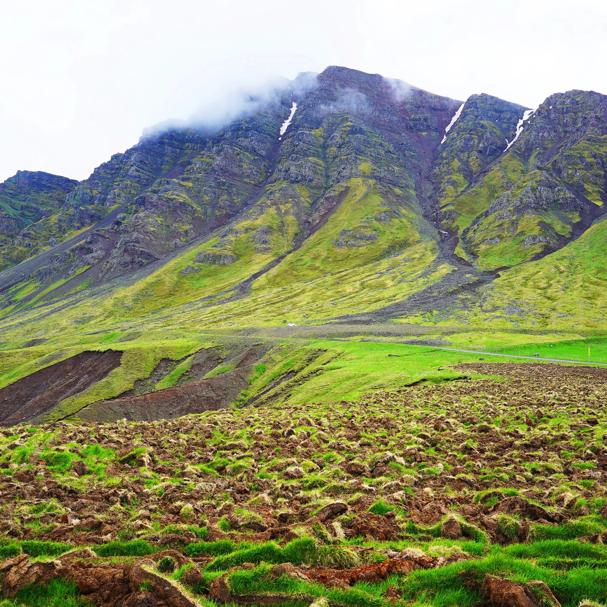 Eiderdown Winter Puffer - Obsidian Black edition - Pre-Order