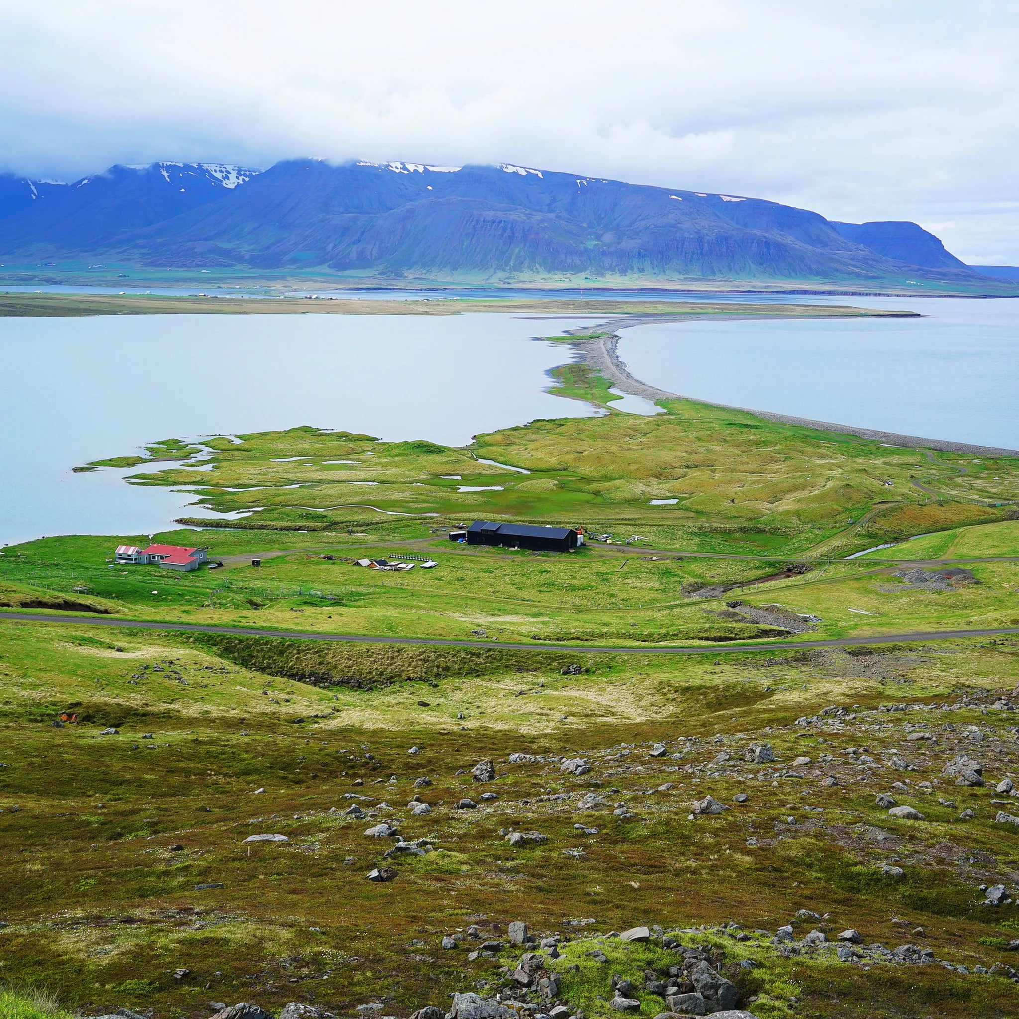 Eiderdown Winter Puffer - Obsidian Black edition - Pre-Order