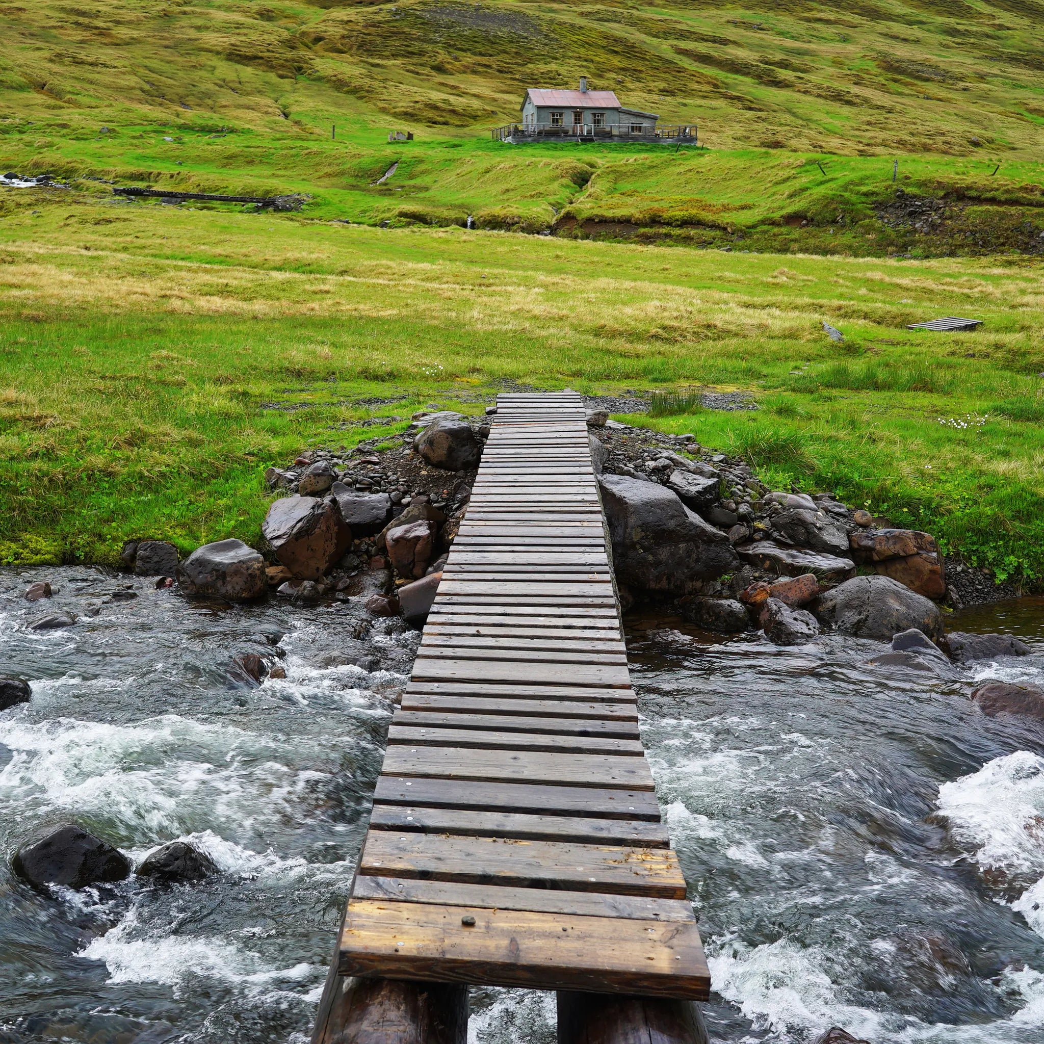 Eiderdown Winter Puffer - Obsidian Black edition - Pre-Order