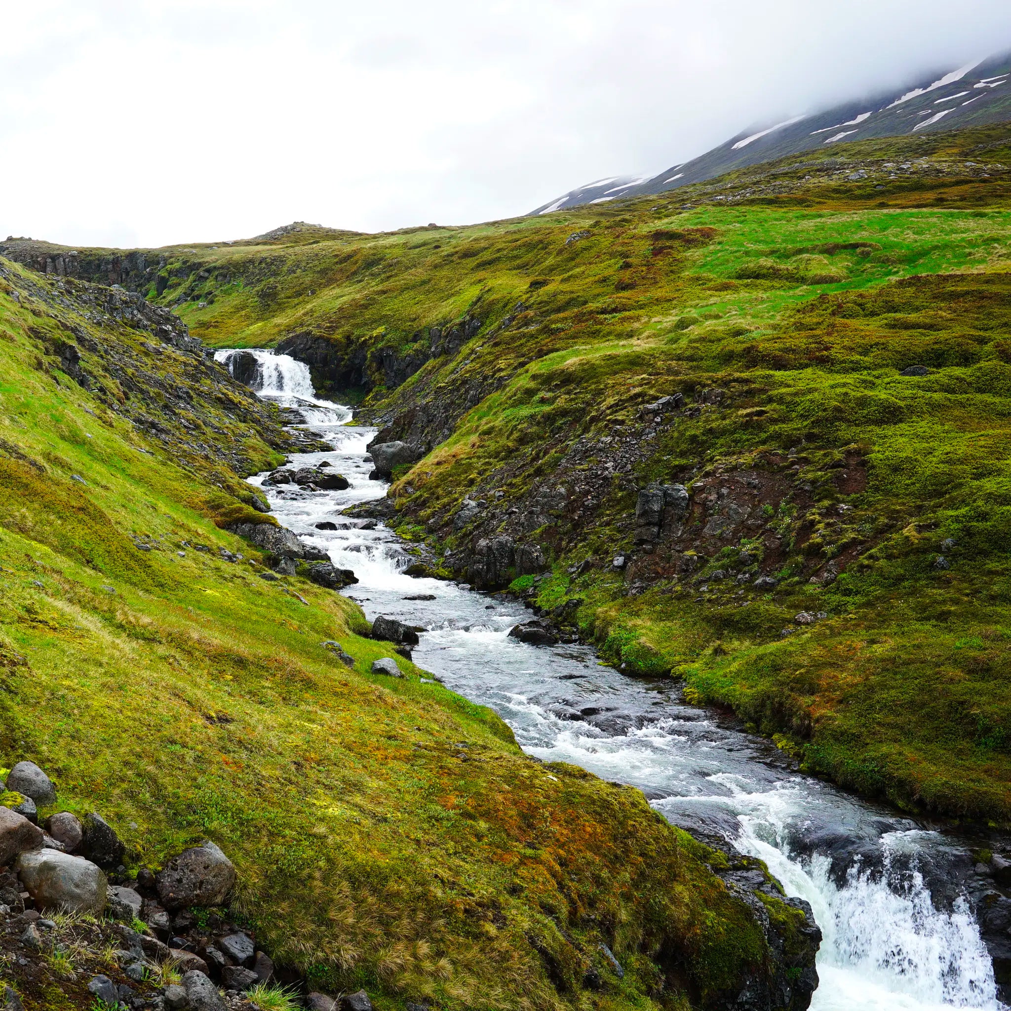 Eiderdown Winter Puffer - Obsidian Black edition - Pre-Order