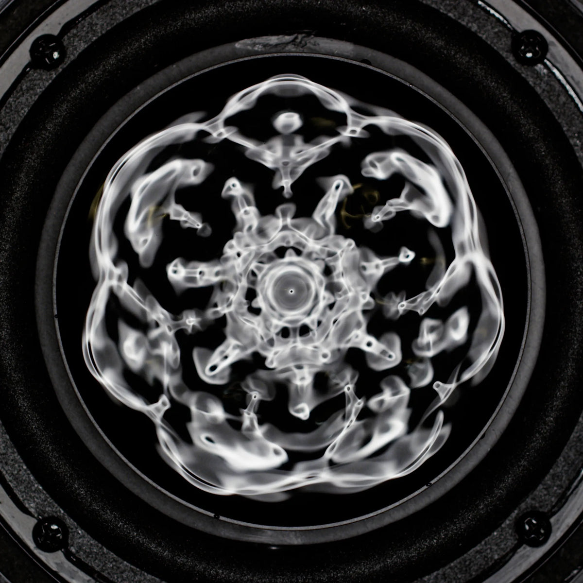 Cymatic Swim Shorts. Black edition