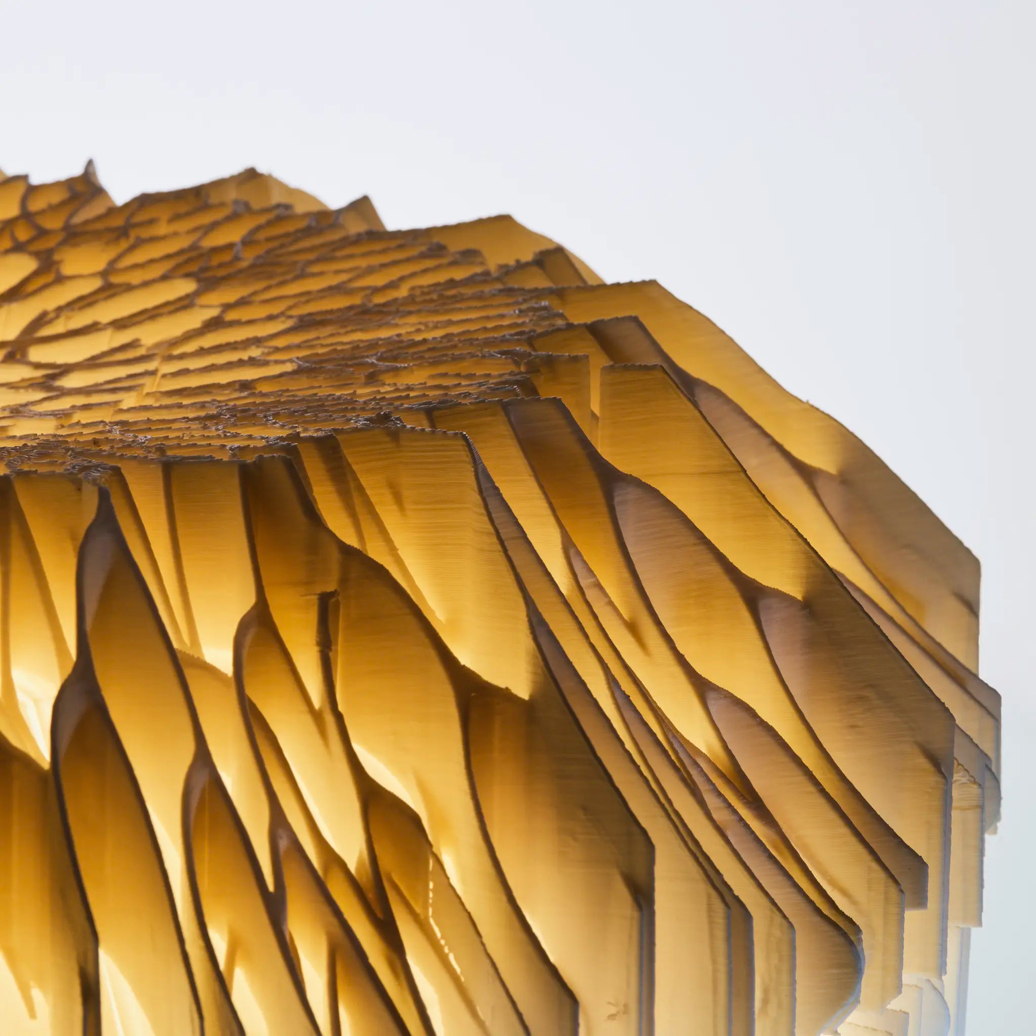 Mycelium Jacket