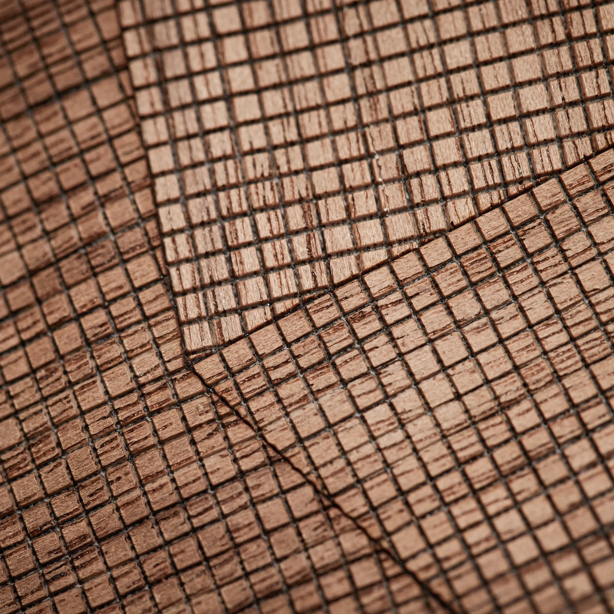 The Wooden Jacket